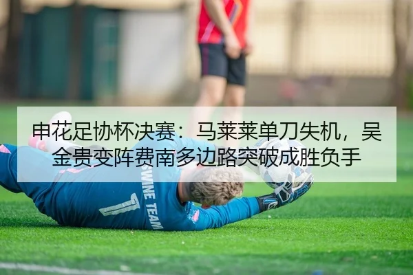 申花足协杯决赛：马莱莱单刀失机，吴金贵变阵费南多边路突破成胜负手 | yaxin